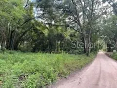 a big yard with lots of green space and deers