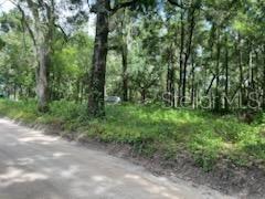 17411 Northwest 110th Avenue Alachua, FL 32615 - Photo 3 of 8 a view of a yard with a tree