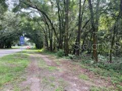 17411 Northwest 110th Avenue Alachua, FL 32615 - Photo 4 of 8 a view of outdoor space with trees