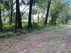 a view of outdoor space and green space
