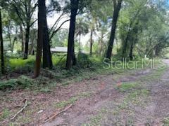 17411 Northwest 110th Avenue Alachua, FL 32615 - Photo 5 of 8 a view of outdoor space and green space