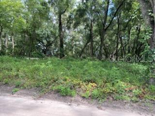 17411 Northwest 110th Avenue Alachua, FL 32615 - Photo 6 of 8 a view of a lush green forest