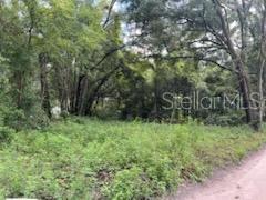 17411 Northwest 110th Avenue Alachua, FL 32615 - Photo 7 of 8 a view of a lush green forest