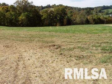 16 Old Cape Road Jonesboro, IL 62952 - Photo 3 of 6 Gallery Image 3