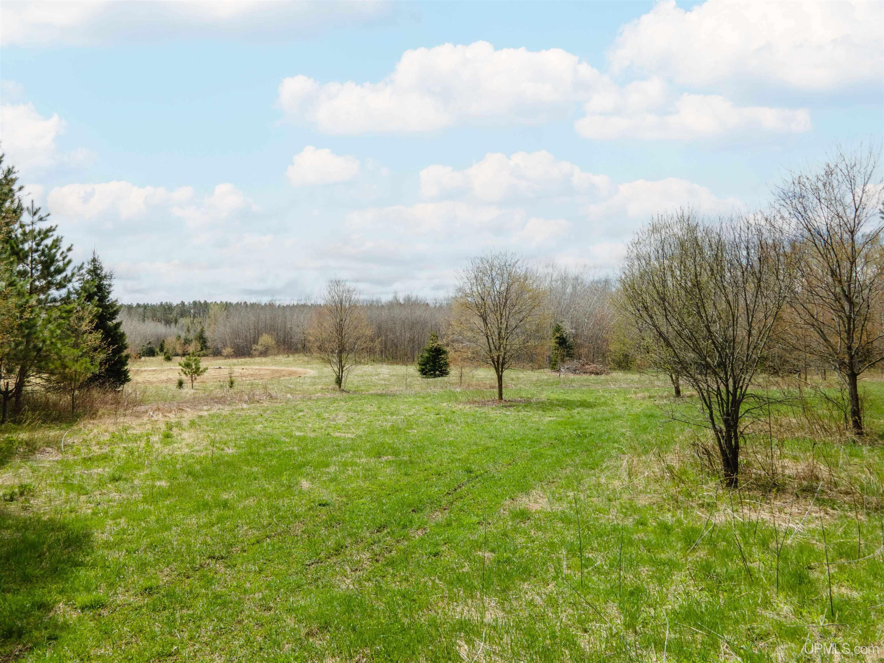3 Easement Road, Unit LOT 3 Long Lake, WI 54542 - Photo 14 of 25