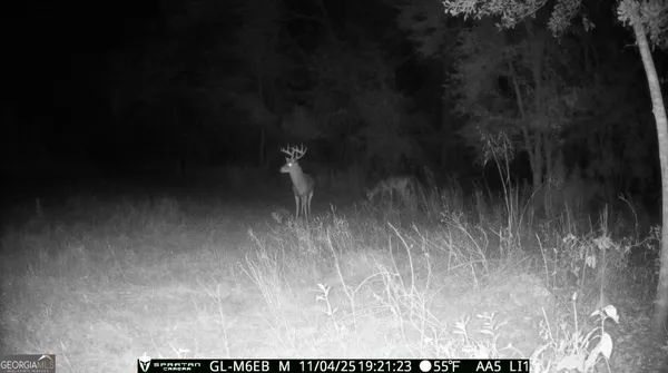 $310,000 | 0 Cumbie Road, Climax, GA 39834