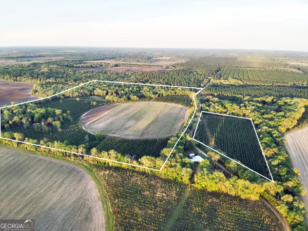 $310,000 | 0 Cumbie Road, Climax, GA 39834