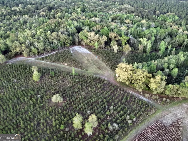 $360,000 | 0 Cumbie Road, Climax, GA 39834