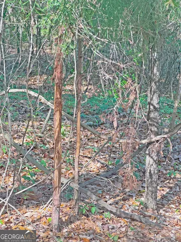 $360,000 | 0 Cumbie Road, Climax, GA 39834