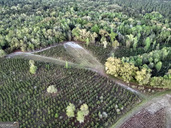 $310,000 | 0 Cumbie Road, Climax, GA 39834