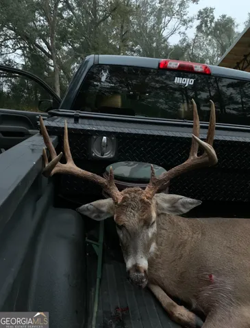 $360,000 | 0 Cumbie Road, Climax, GA 39834