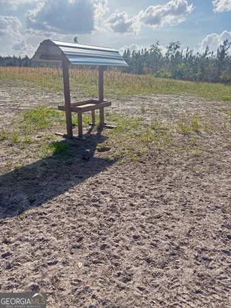 $310,000 | 0 Cumbie Road, Climax, GA 39834