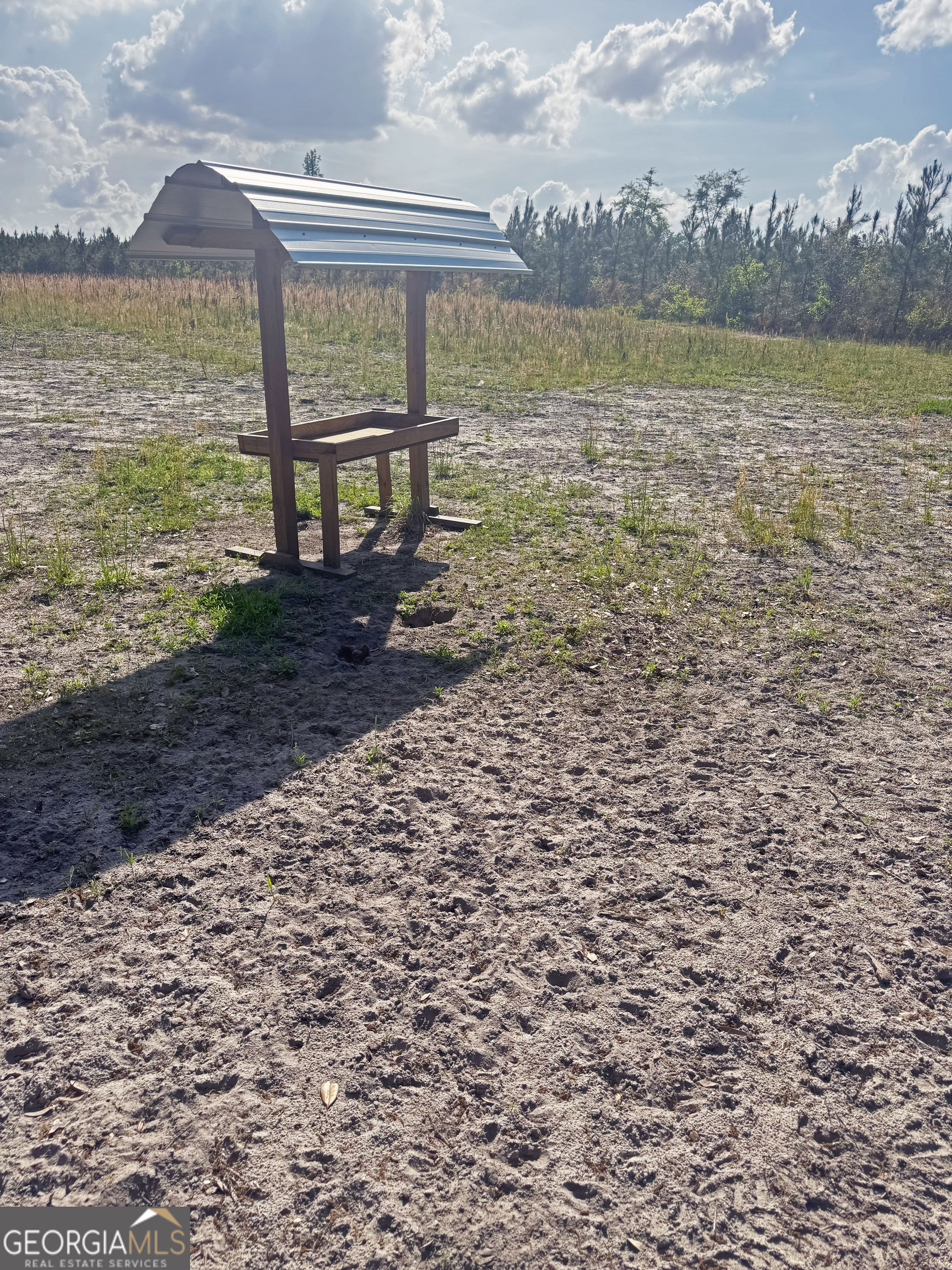 0 Cumbie Road Climax, GA 39834 - Photo 16 of 37