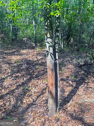 $360,000 | 0 Cumbie Road, Climax, GA 39834