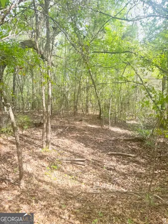 $310,000 | 0 Cumbie Road, Climax, GA 39834