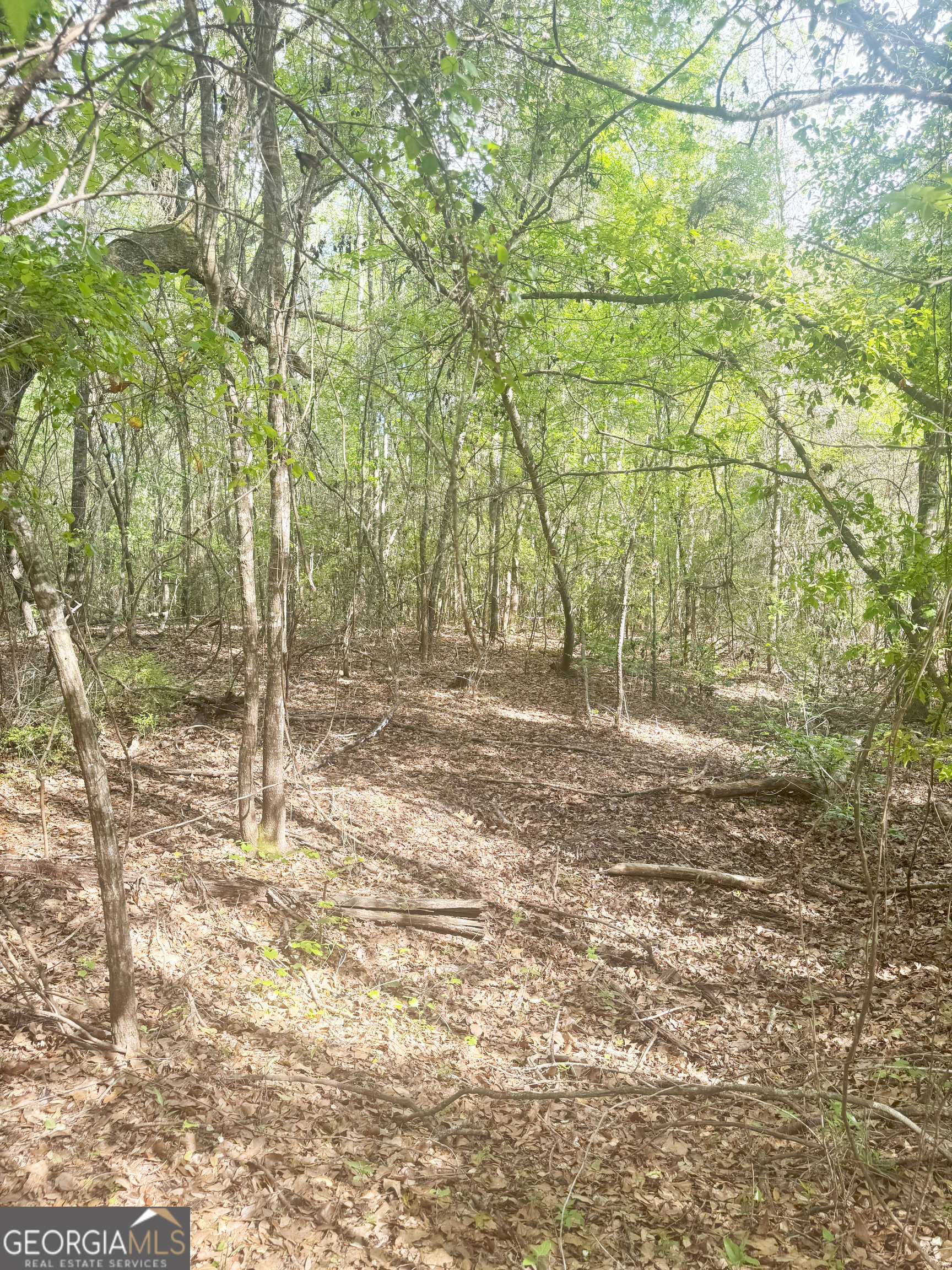 0 Cumbie Road Climax, GA 39834 - Photo 18 of 37 a view of backyard with green space