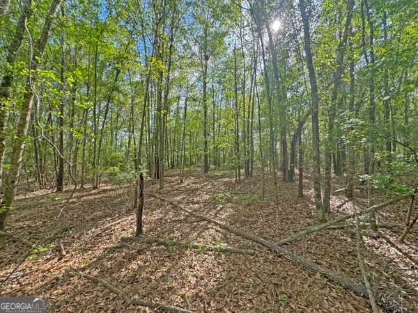 $310,000 | 0 Cumbie Road, Climax, GA 39834