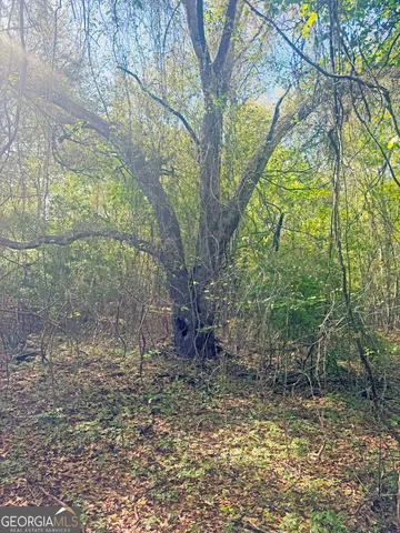 $360,000 | 0 Cumbie Road, Climax, GA 39834