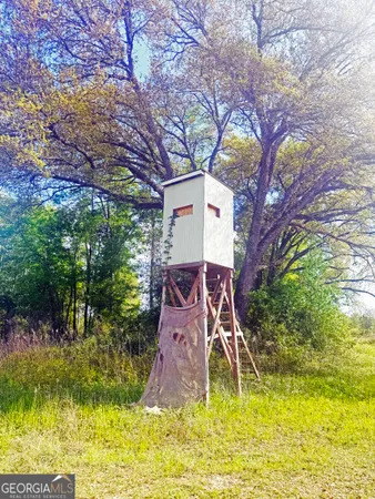 $310,000 | 0 Cumbie Road, Climax, GA 39834