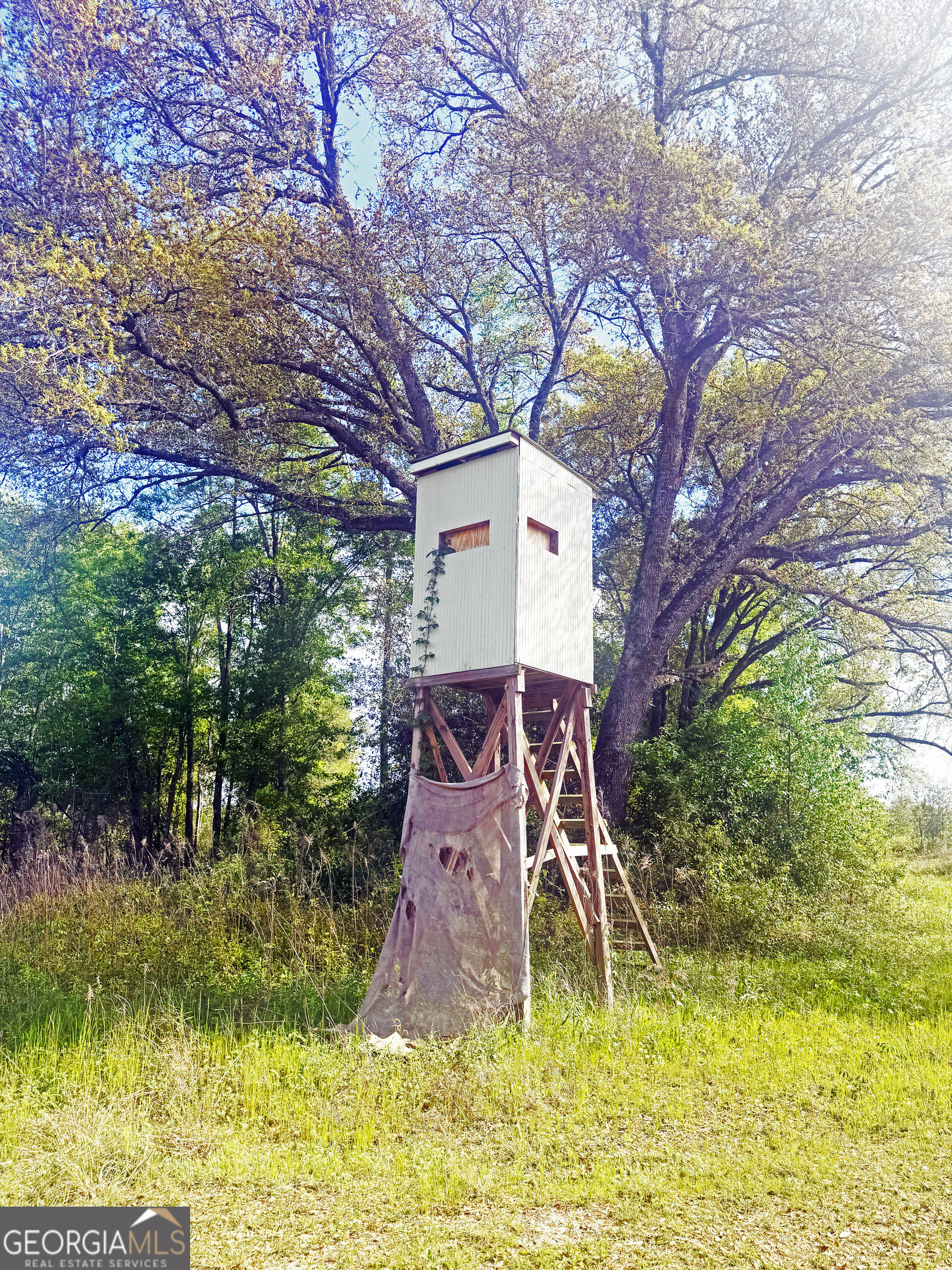 0 Cumbie Road Climax, GA 39834 - Photo 22 of 37 a view of a backyard