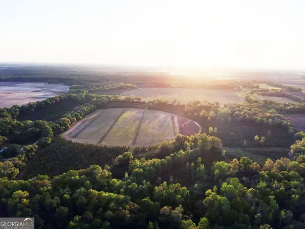 $310,000 | 0 Cumbie Road, Climax, GA 39834