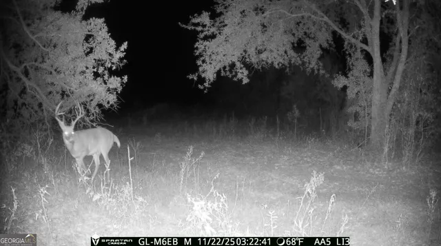 $360,000 | 0 Cumbie Road, Climax, GA 39834