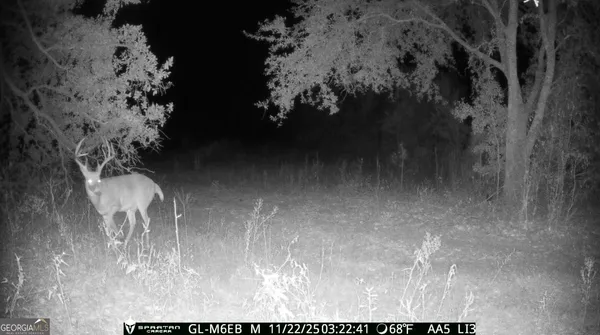 $310,000 | 0 Cumbie Road, Climax, GA 39834