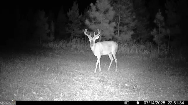 $360,000 | 0 Cumbie Road, Climax, GA 39834