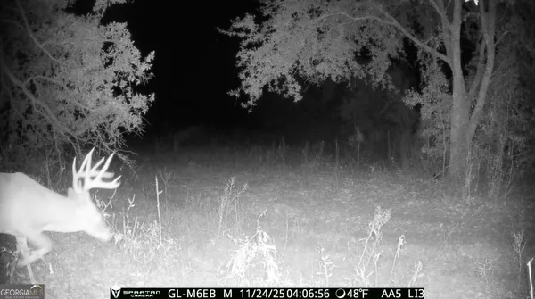 $310,000 | 0 Cumbie Road, Climax, GA 39834