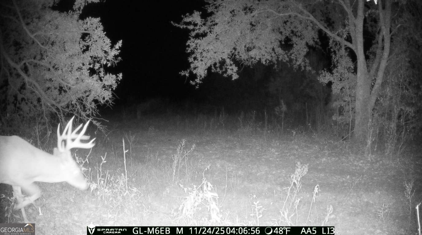 0 Cumbie Road Climax, GA 39834 - Photo 27 of 37 a view of a fireplace
