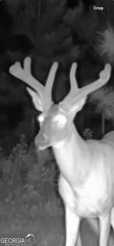 $360,000 | 0 Cumbie Road, Climax, GA 39834