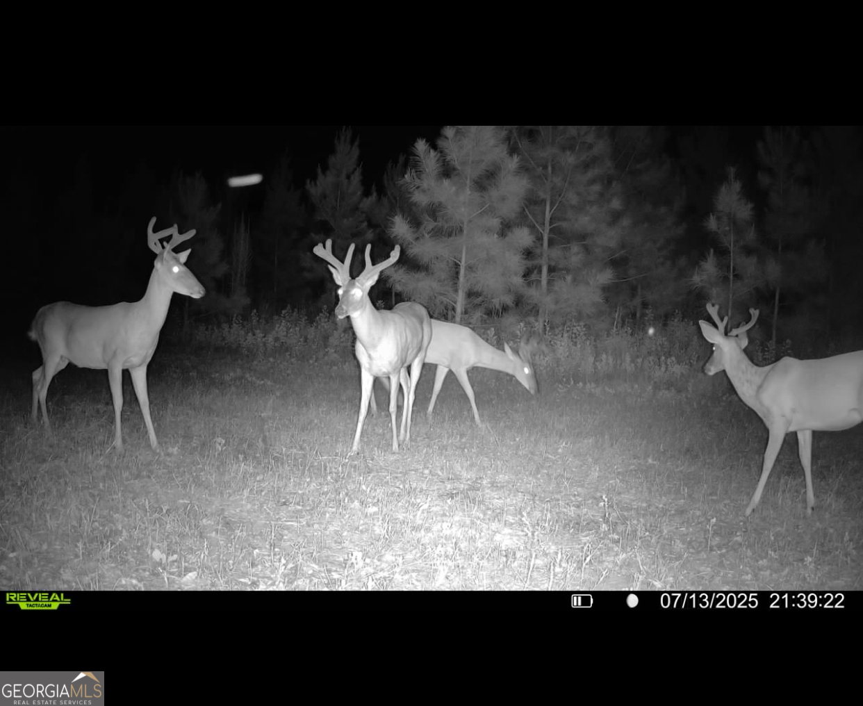 0 Cumbie Road Climax, GA 39834 - Photo 31 of 37 a view of a room with furniture and a table