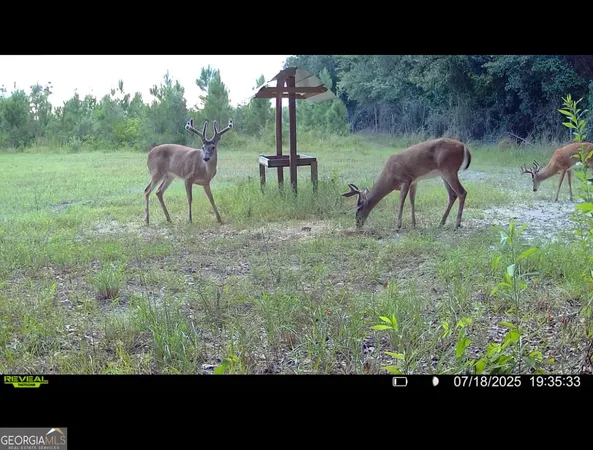 $310,000 | 0 Cumbie Road, Climax, GA 39834