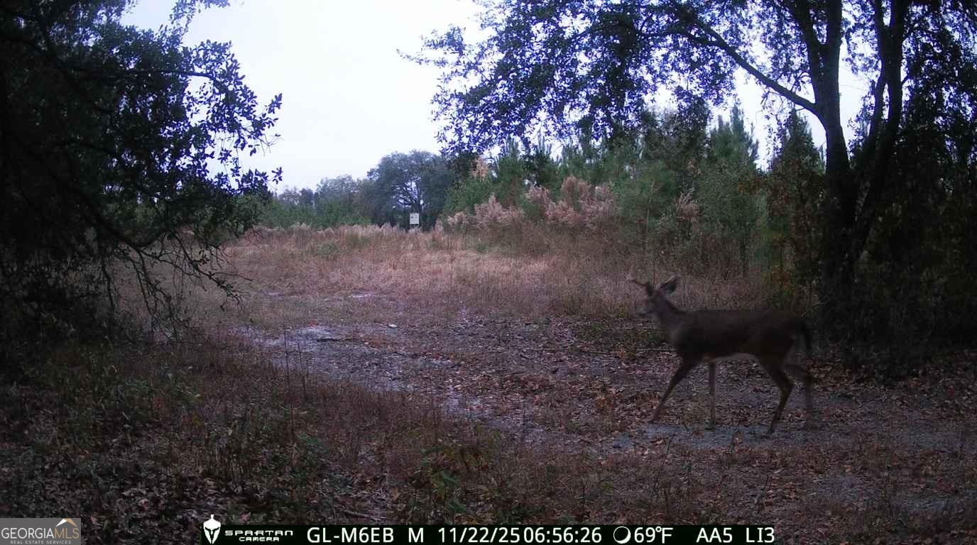 0 Cumbie Road Climax, GA 39834 - Photo 5 of 37 a backyard of a house with table and chairs