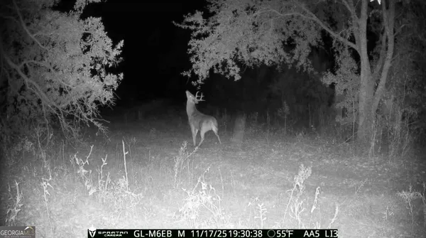 $310,000 | 0 Cumbie Road, Climax, GA 39834