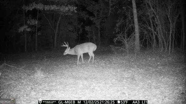 $310,000 | 0 Cumbie Road, Climax, GA 39834