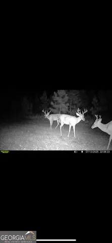 $360,000 | 0 Cumbie Road, Climax, GA 39834