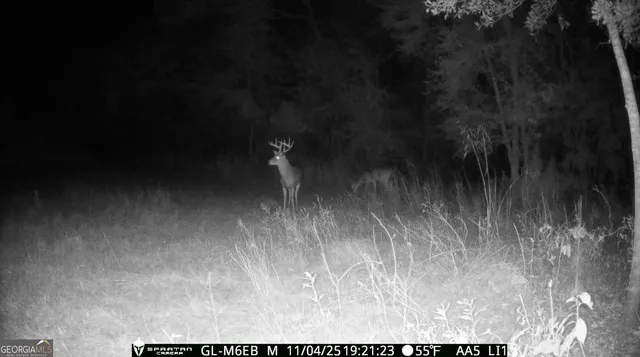 $360,000 | 0 Cumbie Road, Climax, GA 39834