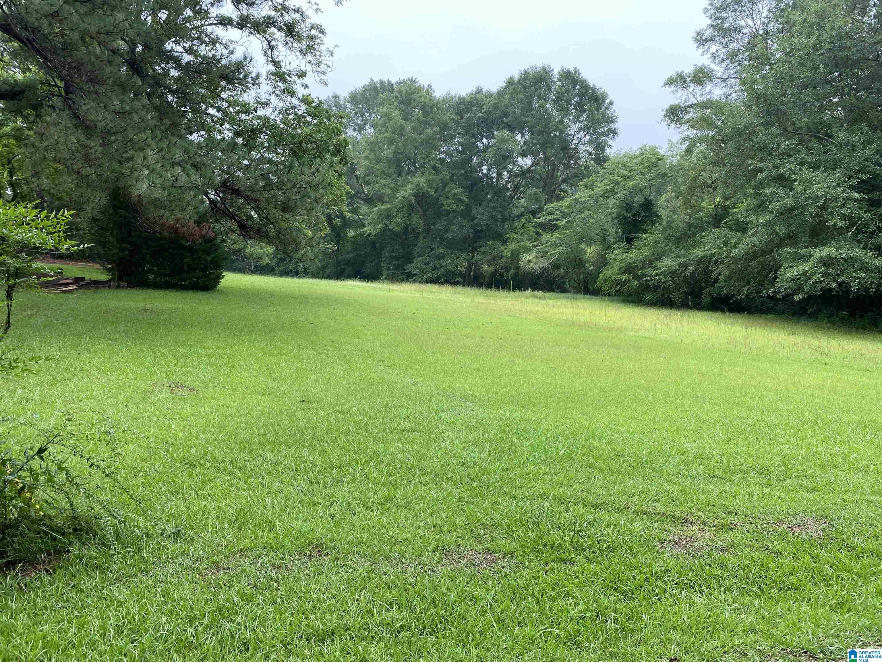 80 Old Collins Chapel Road Thorsby, AL 35171 - Photo 17 of 25