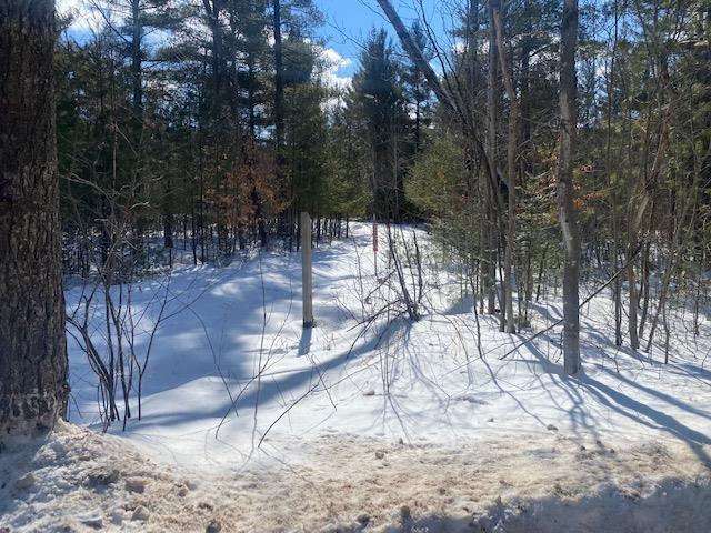 68-acres Johnson Road Brutus, MI 49716 - Photo 4 of 8 Gallery Image 4