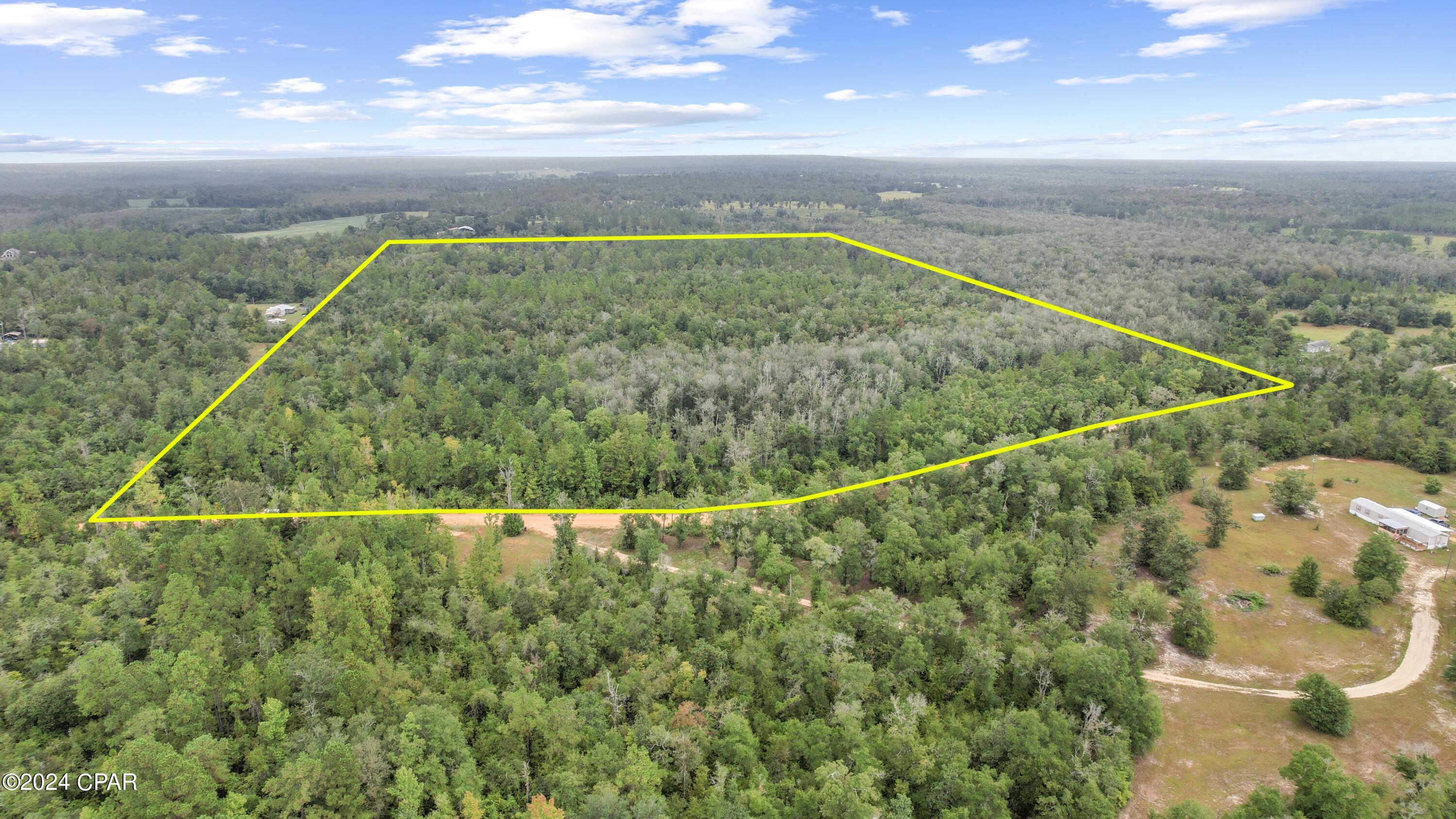 0 Pike Pond Road Chipley, FL 32428 - Photo 11 of 12 Gallery Image 11