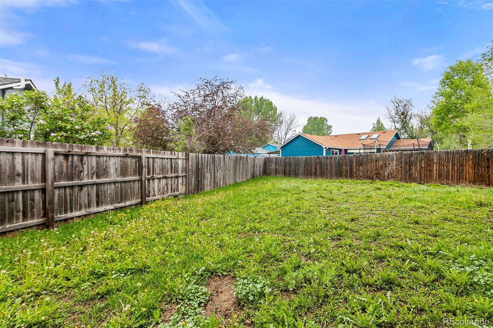 817 Holmes Place Berthoud, CO 80513 - Photo 25 of 30