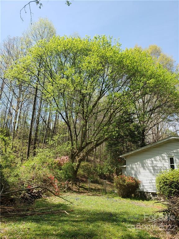 1197 Finger Bridge Road Hickory, NC 28602 - Photo 26 of 32 Gallery Image 26