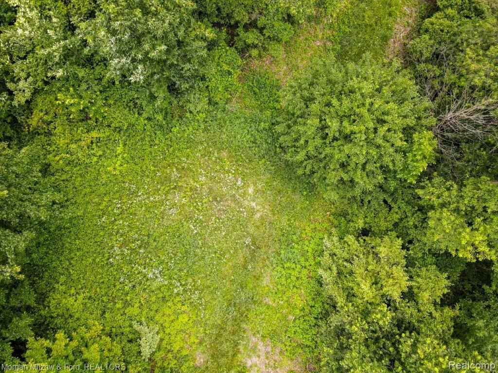 0 Tucker Road Walled Lake, MI 48390 - Photo 12 of 16