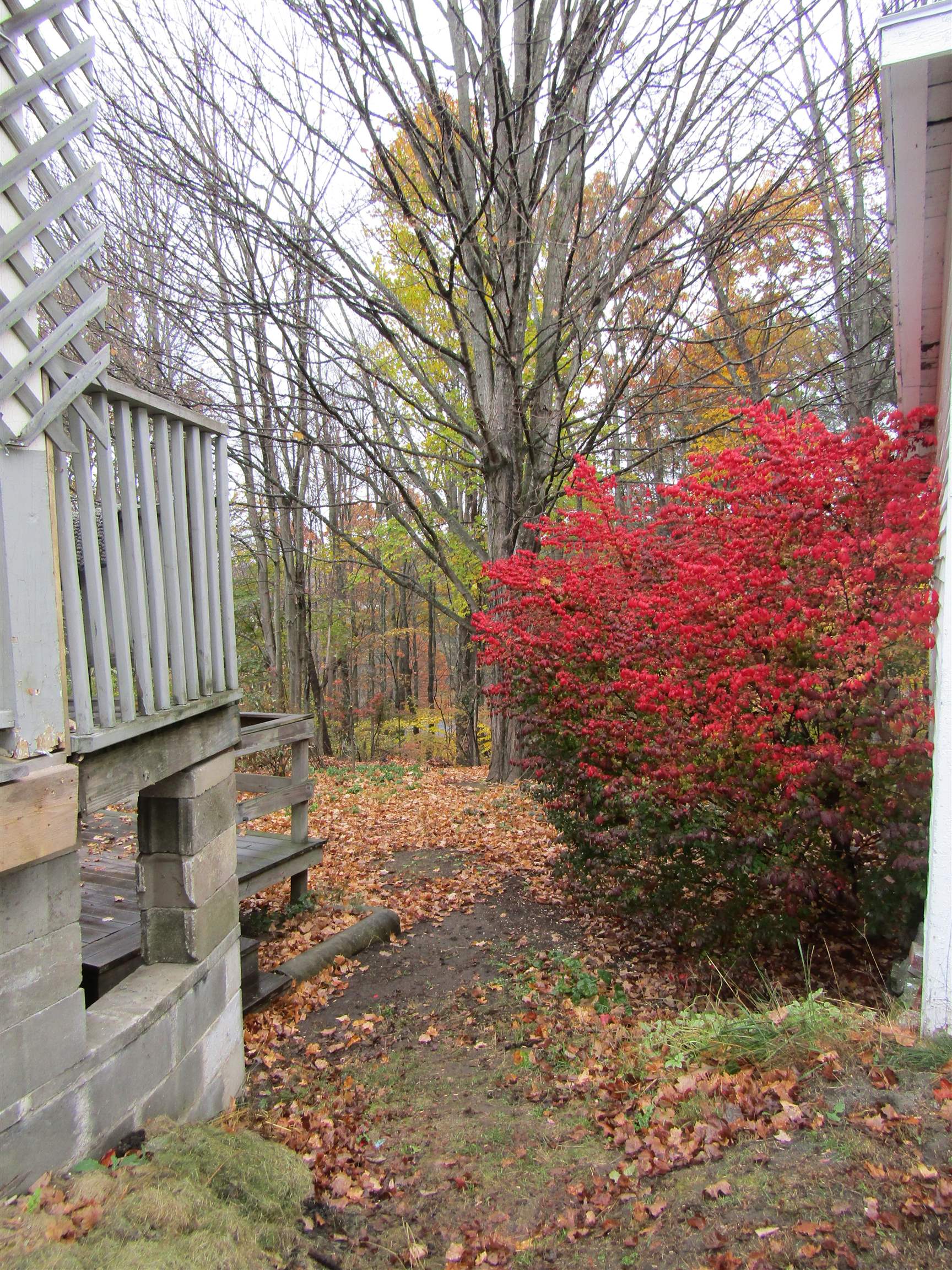 142 Maple Street Newport, NH 03773 - Photo 19 of 20