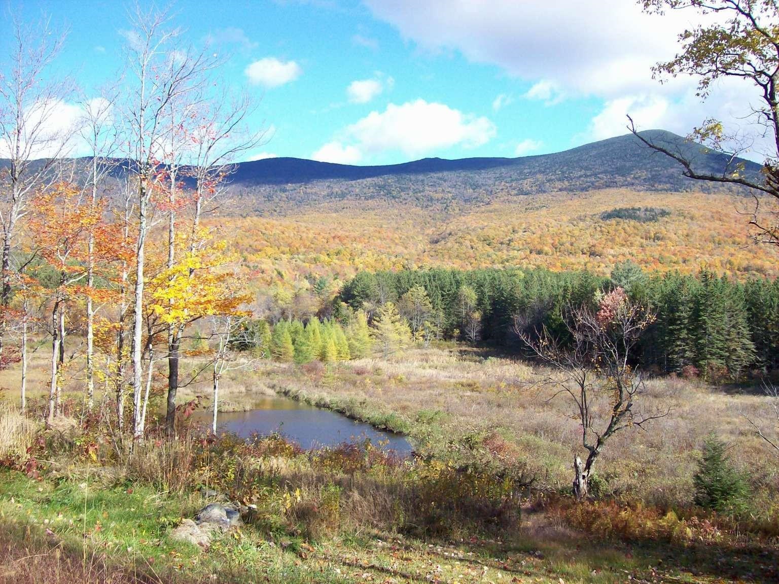 489 Hall Road Lincoln, VT 05443 - Photo 18 of 20