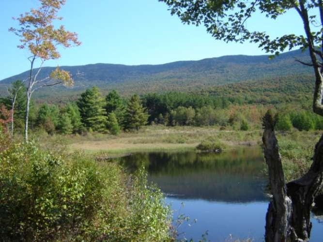 489 Hall Road Lincoln, VT 05443 - Photo 19 of 20