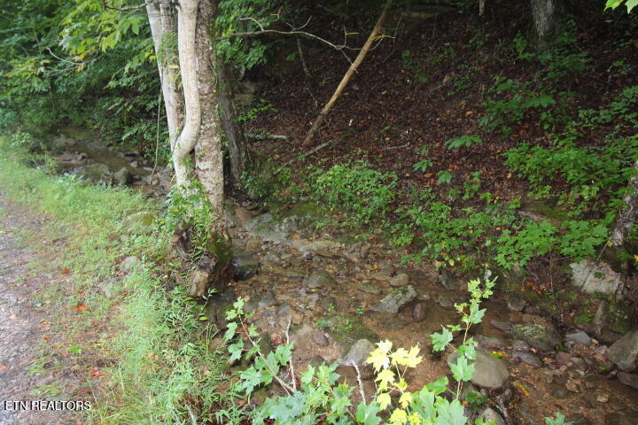 1970 Carrs Creek Road Townsend, TN 37882 - Photo 12 of 59 Carrs Creek Update cleaned 008