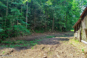 1970 Carrs Creek Road Townsend, TN 37882 - Photo 15 of 59 20240719105032323960000000