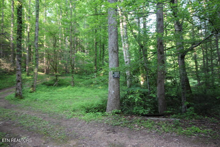 1970 Carrs Creek Road Townsend, TN 37882 - Photo 18 of 59 Carrs Creek 20K 002